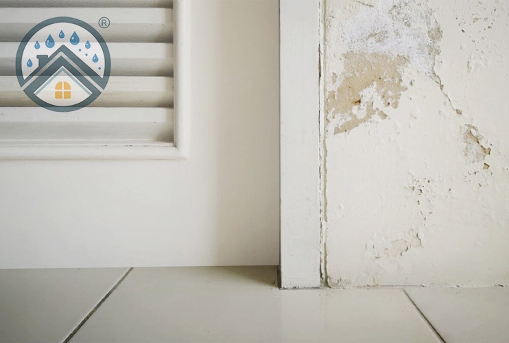 Humedades por capilaridad