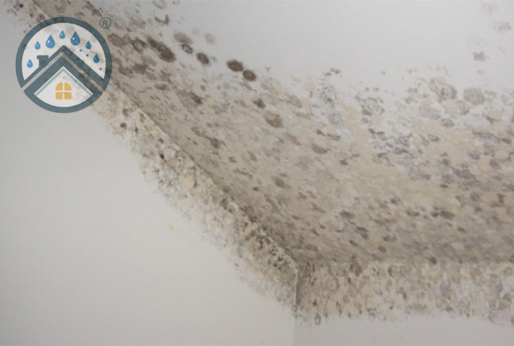 Humedades por condensación