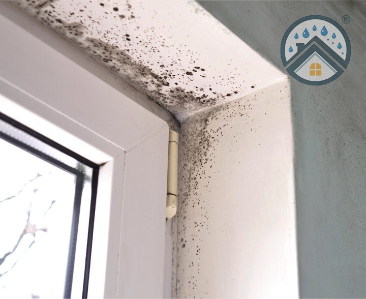 Humedades por condensación Villalba